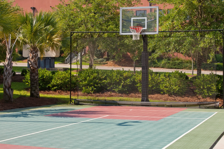 Tarc Ishva Basketball Court Amenities